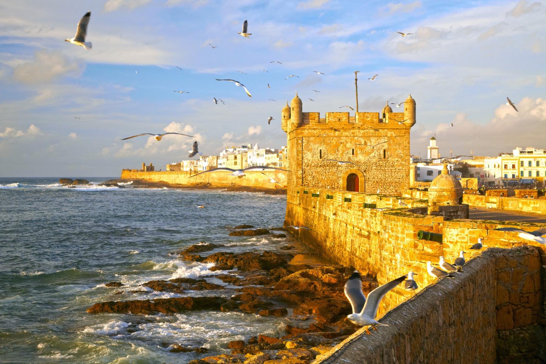 Agadir to Essaouira Day Trip