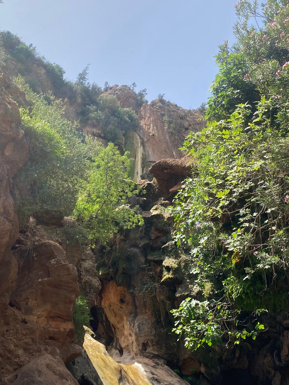 Paradise Valley & Imouzzer Waterfalls Day Excursion gallery image 2