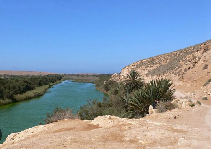 Souss-Massa & Small Sahara Safari gallery image 3