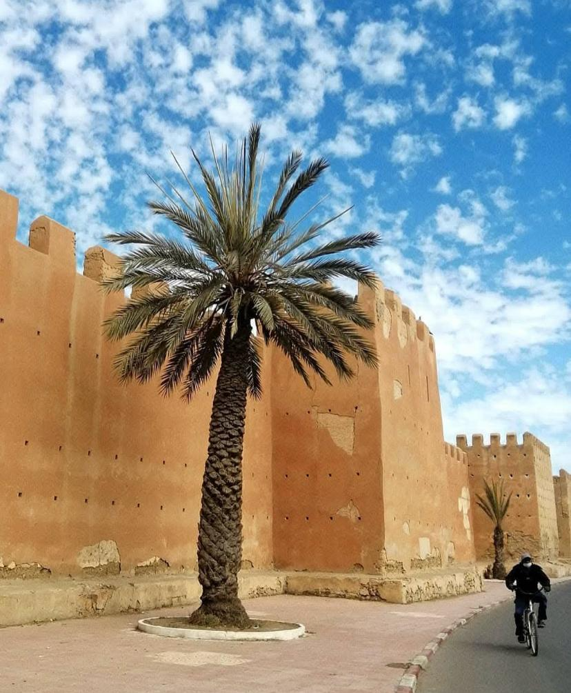 Taroudant & Tiout Oasis Day Trip gallery image 1