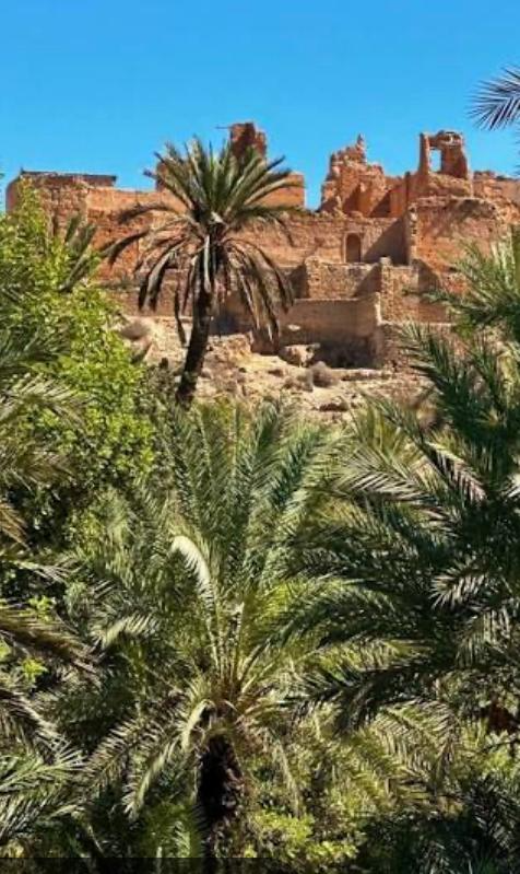 Taroudant & Tiout Oasis Day Trip gallery image 2